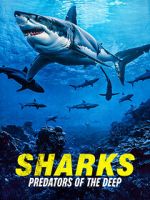 Watch Sharks: Predators of the Deep Movie4k