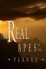 Watch The Real Apes of the Planet Movie4k