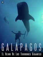 Watch Galapagos: Realm of Giant Sharks Movie4k