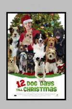 Watch 12 Dog Days of Christmas Movie4k