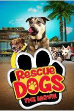 Watch Rescue Dogs Movie4k