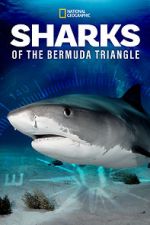 Watch Sharks of the Bermuda Triangle (TV Special 2020) Movie4k