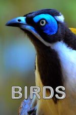 Watch Birds (Short 2021) Movie4k