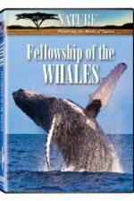 Watch Fellowship Of The Whales Movie4k