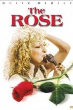 Watch The Rose Movie4k