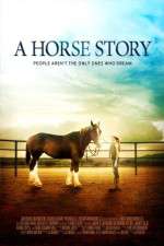 Watch A Horse Story Movie4k