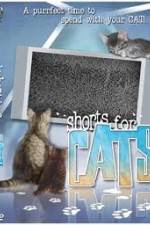 Watch Shorts for Cats Movie4k