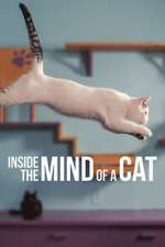 Inside the Mind of a Cat movie4k