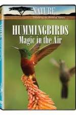 Watch Hummingbirds Magic in the Air Movie4k