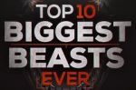 Watch Top 10 Biggest Beasts Ever Movie4k