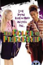 Watch The Color of Friendship Movie4k