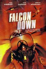 Watch Falcon Down Movie4k