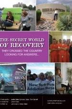 Watch The Secret World of Recovery Movie4k