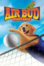 Watch Air Bud: Spikes Back Movie4k