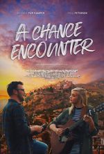 Watch A Chance Encounter Movie4k