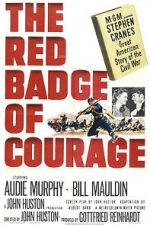Watch The Red Badge of Courage Movie4k