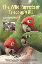Watch The Wild Parrots of Telegraph Hill Movie4k
