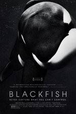 Watch Blackfish Movie4k