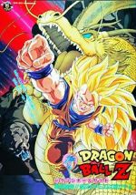 Watch Dragon Ball Z: Wrath of the Dragon Movie4k