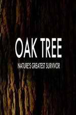 Watch Oak Tree Natures Greatest Survivor Movie4k