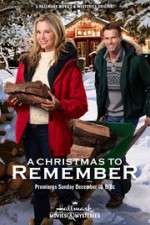 Watch A Christmas to Remember Movie4k