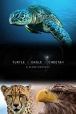 Watch Turtle, Eagle, Cheetah: A Slow Odyssey Movie4k