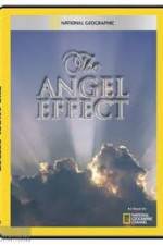 Watch National Geographic Explorer - The Angel Effect Movie4k