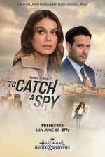 Watch To Catch a Spy Movie4k