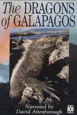 Watch The Dragons of Galapagos Movie4k