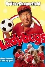 Watch Ladybugs Movie4k