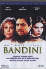 Watch Wait Until Spring, Bandini Movie4k
