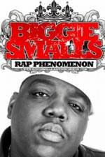 Watch Biggie Smalls Rap Phenomenon Movie4k