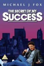 Watch The Secret of My Succe$s Movie4k