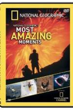 Watch National Geographic's Most Amazing Moments Movie4k