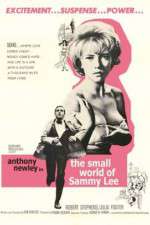 Watch The Small World of Sammy Lee Movie4k