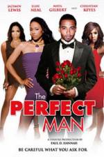 Watch The Perfect Man Movie4k