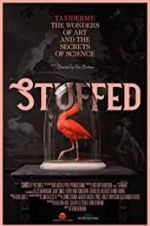 Watch Stuffed Movie4k