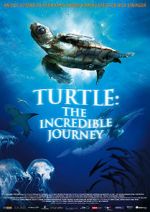 Watch Turtle: The Incredible Journey Movie4k