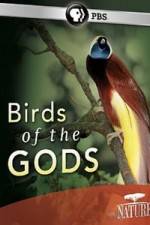 Watch Birds Of The Gods Movie4k