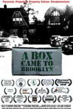 Watch A Box Came to Brooklyn Movie4k