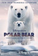 Watch Polar Bear Movie4k