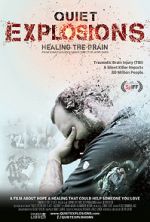 Watch Quiet Explosions: Healing the Brain Movie4k