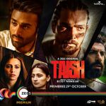 Watch Taish Movie4k