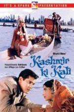 Watch Kashmir Ki Kali Movie4k