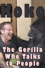 Watch Koko: The Gorilla Who Talks to People Movie4k