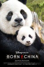 Watch Born in China Movie4k