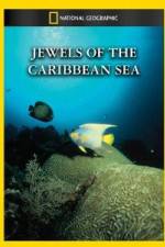 Watch National Geographic Jewels of the Caribbean Sea Movie4k