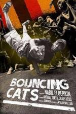 Watch Bouncing Cats Movie4k