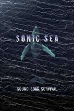 Watch Sonic Sea Movie4k