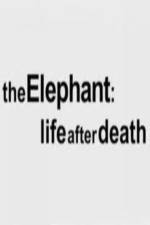 Watch The Elephant - Life After Death Movie4k